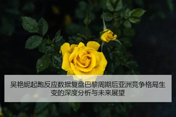 吴艳妮起跑反应数据复盘巴黎周期后亚洲竞争格局生变的深度分析与未来展望