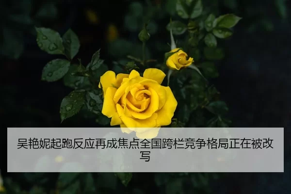 吴艳妮起跑反应再成焦点全国跨栏竞争格局正在被改写