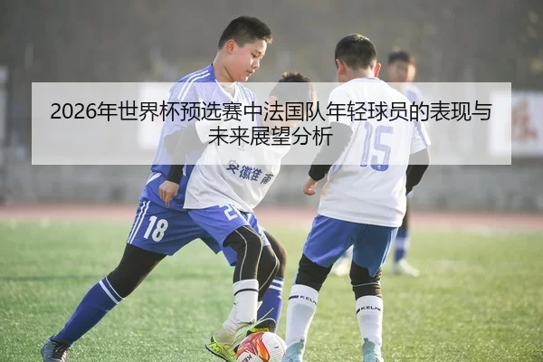2026年世界杯预选赛中法国队年轻球员的表现与未来展望分析