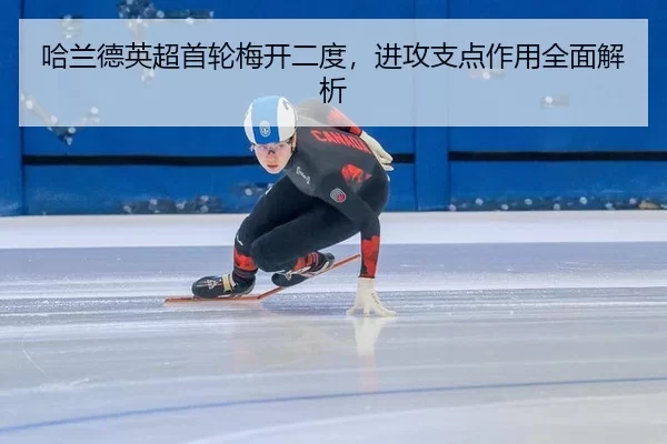 ha-lan-de-ying-chao-shou-lun-mei-kai-er-du-jin-gong-zhi-dian-zuo-yong-quan-mian-jie-xi-2-341.jpg