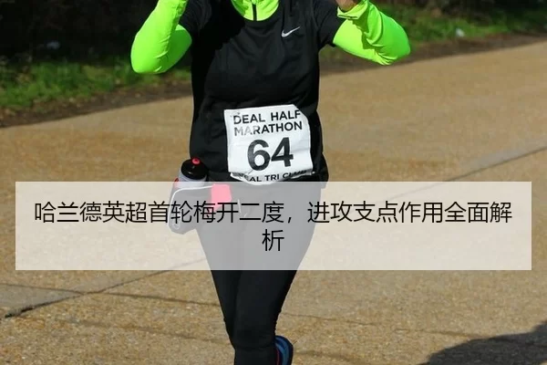 ha-lan-de-ying-chao-shou-lun-mei-kai-er-du-jin-gong-zhi-dian-zuo-yong-quan-mian-jie-xi-3-732.jpg