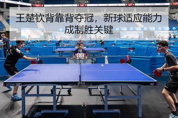 wang-chu-qin-bei-kao-bei-duo-guan-xin-qiu-shi-ying-neng-li-cheng-zhi-sheng-guan-jian-2-765.jpg