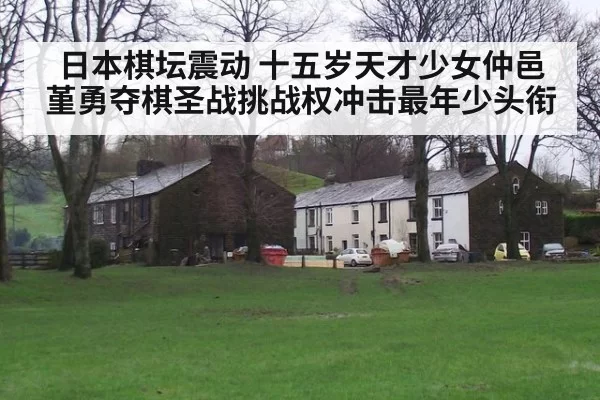 日本棋坛震动 十五岁天才少女仲邑堇勇夺棋圣战挑战权冲击最年少头衔